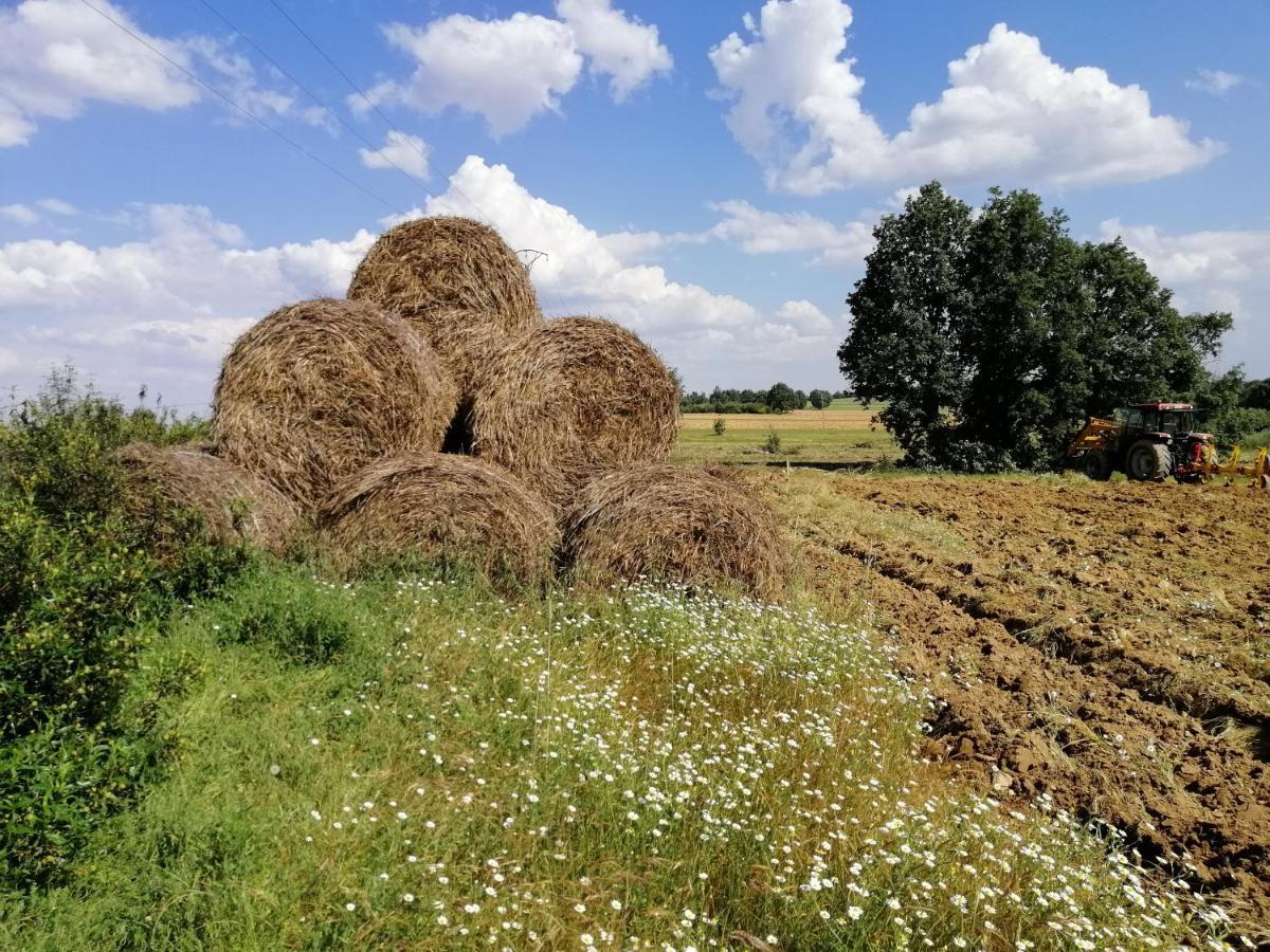 Hotel Rural Lajafriz Fornillos de Aliste Exteriér fotografie
